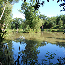 oaks lakes sessay oaks lakes sessay